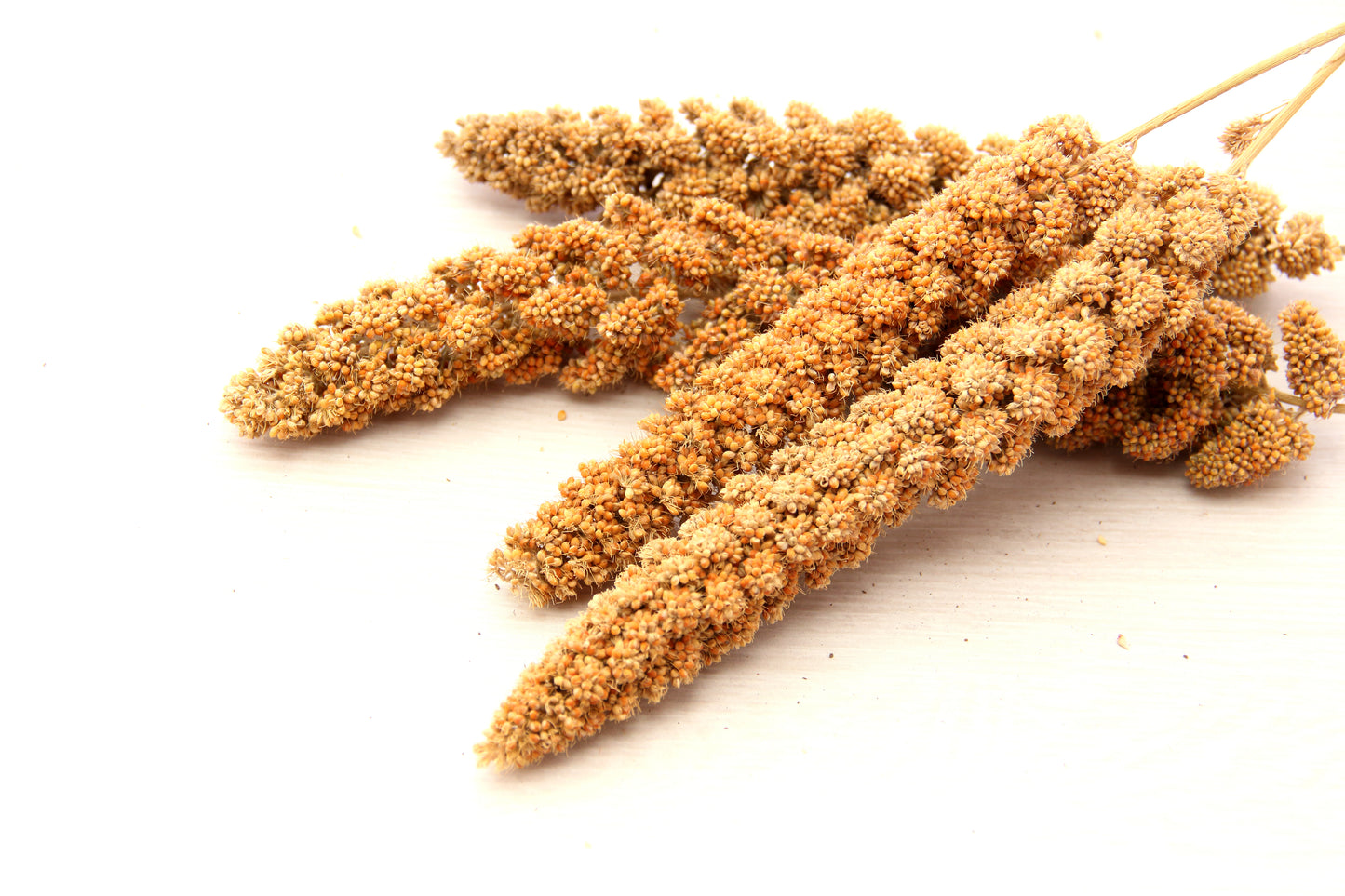 有機 あわ穂(60g)