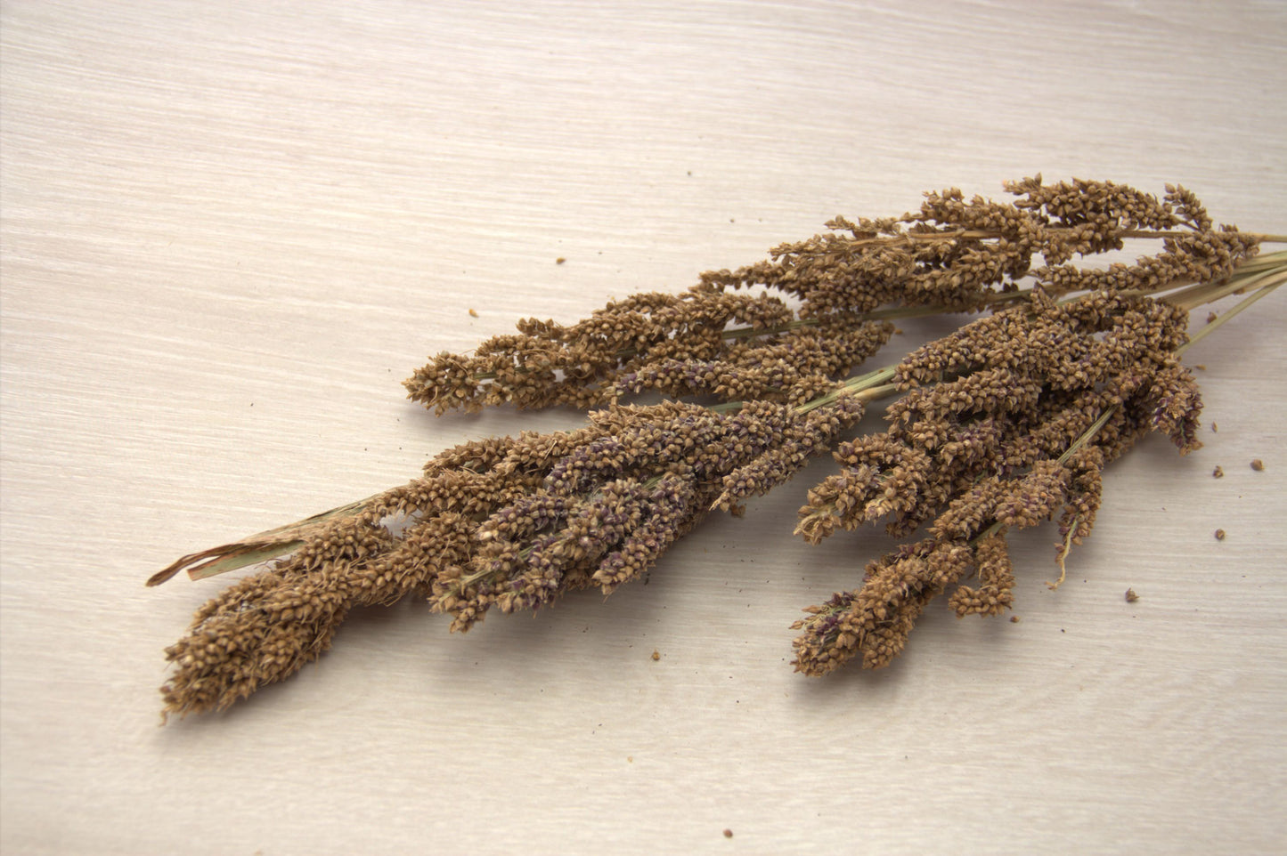 有機　ひえ穂（60ｇ）